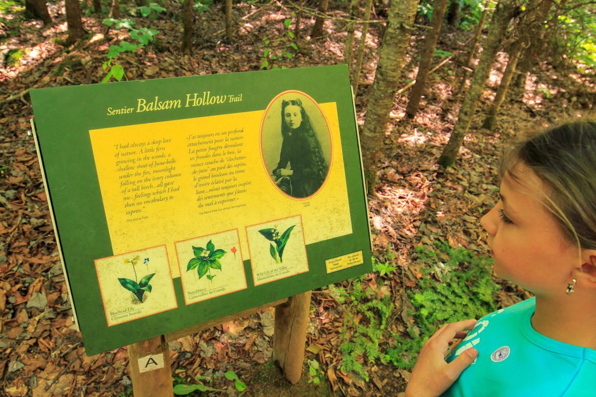 Balsam Hollow Nature sign